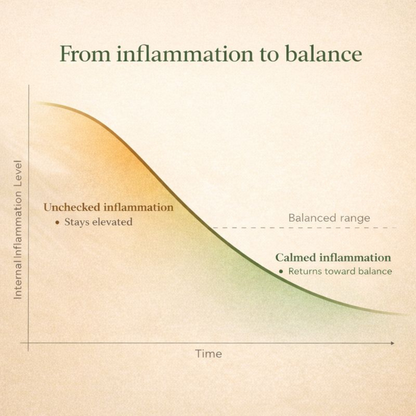 Oil of Oregano + Black Seed Oil Capsules